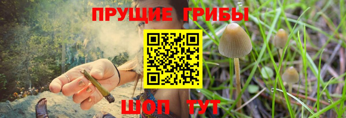 Полысаево  Псилоцибиновые грибы Cubensis  Вход с VPN 